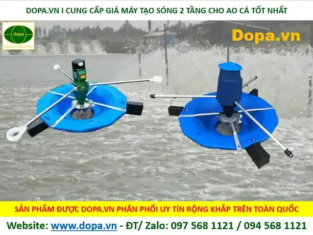 Cảnh tượng cá cảnh ngoi lên mặt nước do thiếu oxy, cần có máy sủi oxy hỗ trợ